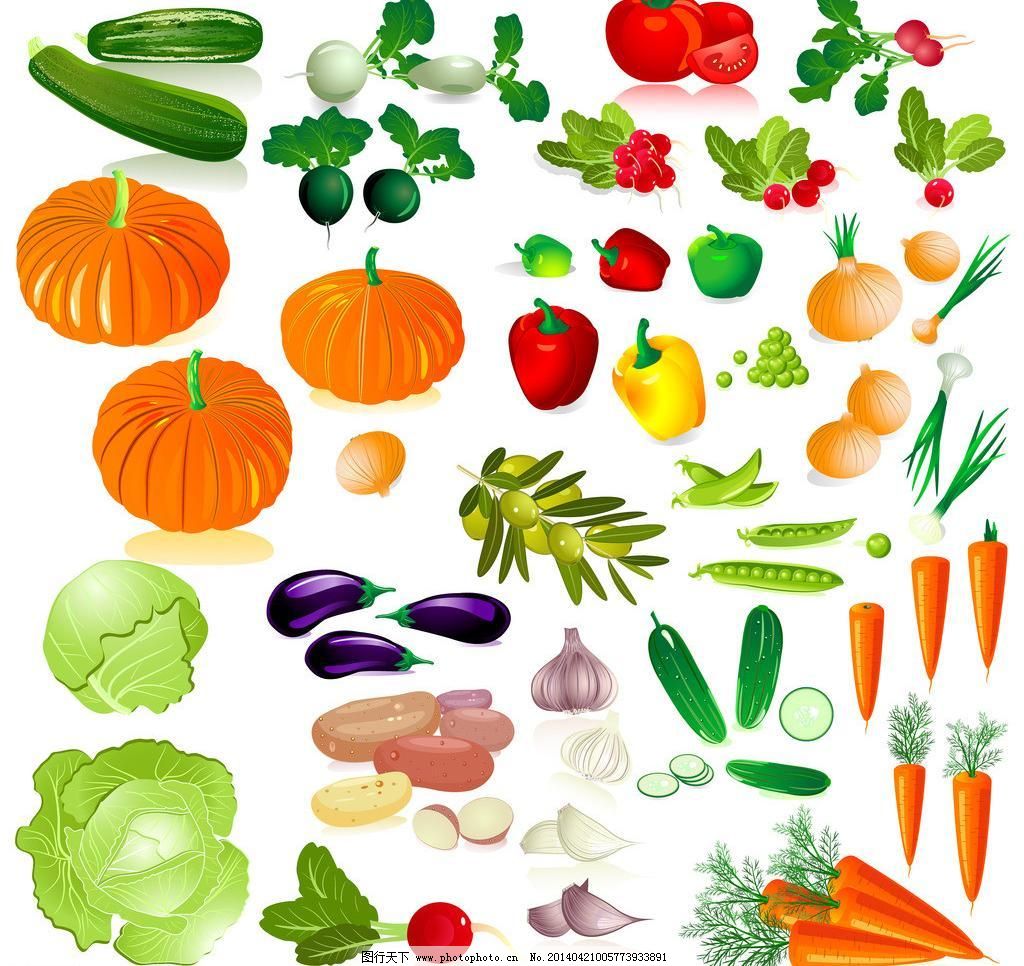 蔬菜之美 大蒜、番茄、橄欖、胡蘿卜與黃瓜的營養(yǎng)與烹飪探秘