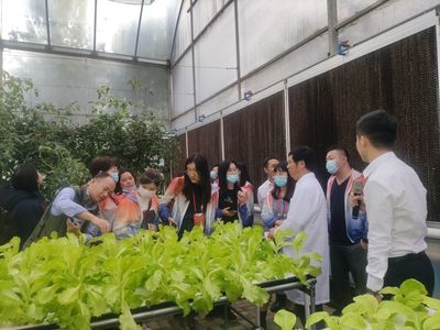 贛勁十足 昌南爭先——江西高速服務(wù)區(qū)因地制宜實現(xiàn)華麗蝶變